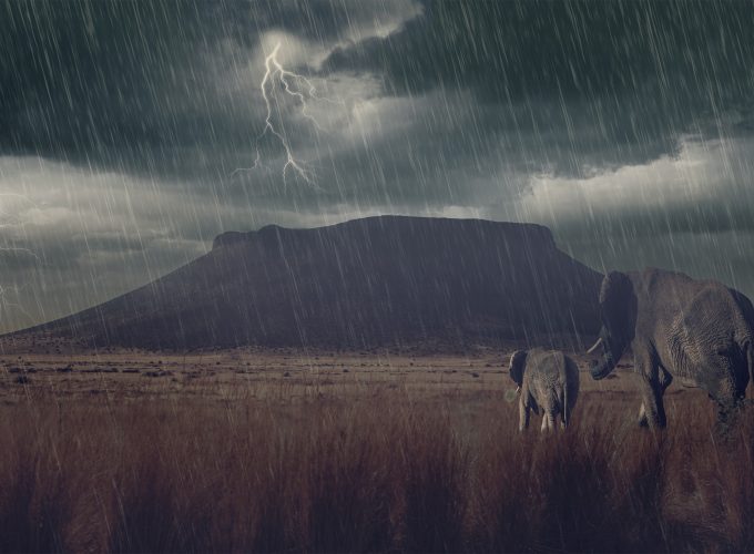 Wallpaper Elephant, mountains, storm, meadow, Animals 892313378